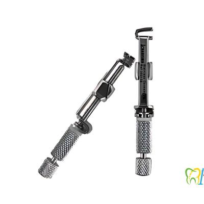 هولدر امالگام