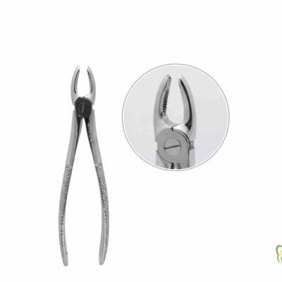 فورسپس قدامی بالا