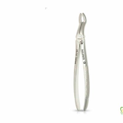 فورسپس عقل بالا