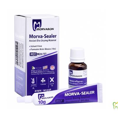 سیلر اندو رزینی (8 گرم پودر + 10 گرم محلول رزین) مروابن morva sealer
